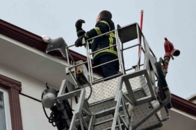 Çatıda sıkışan martıyı itfaiye kurtardı