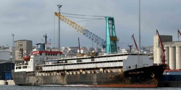 Tahliye yasağı, telef olan hayvanlar ve kötü koku: Spiridon 2 krizi derinleşiyor