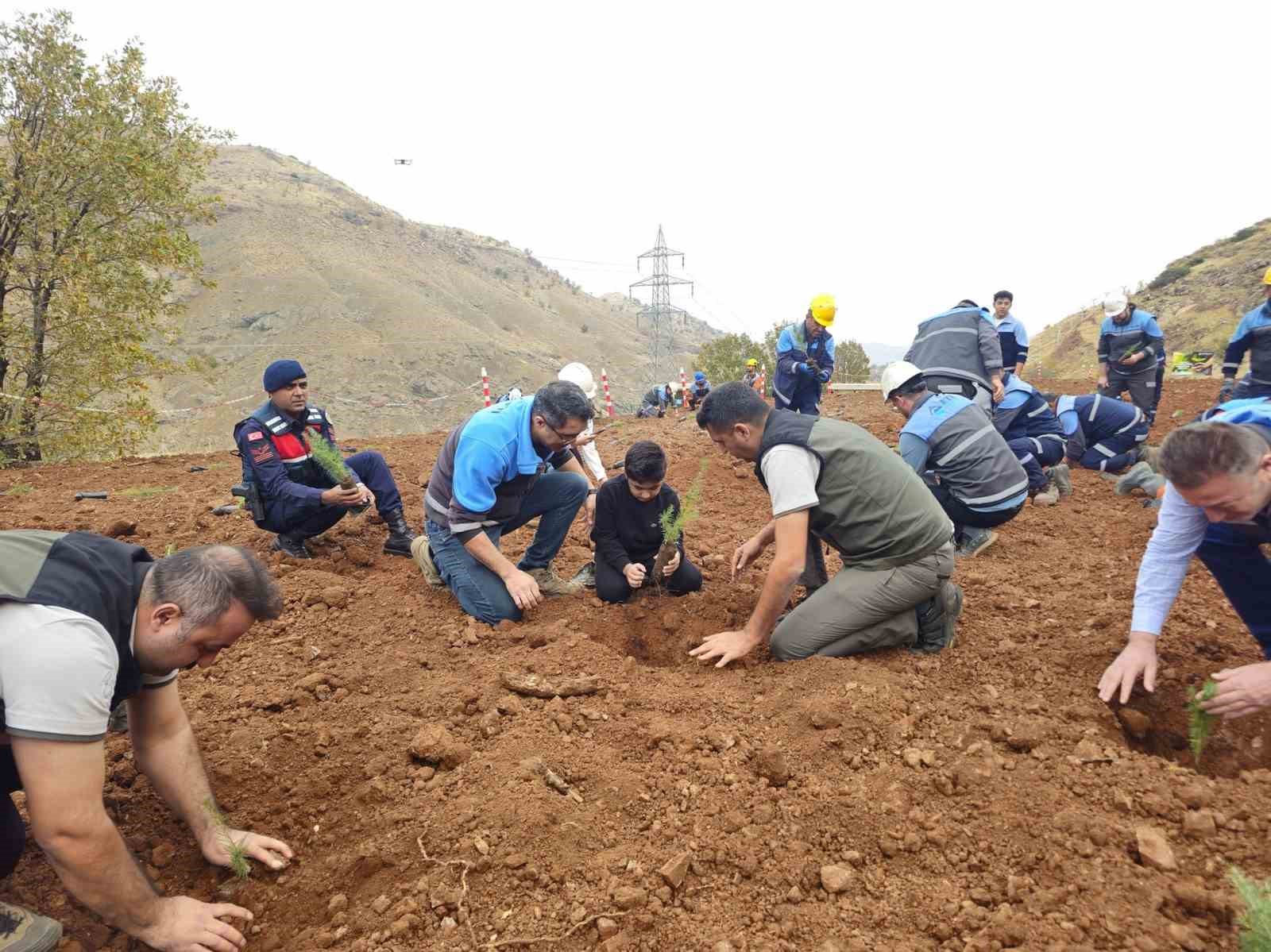 Eti Bakır’dan ağaçlandırma seferberliği