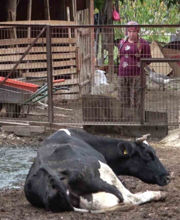 Şapa karşı en radikal koruma aşı: Aşılamayı ihmal etmeyin