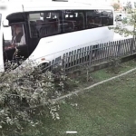 Tekirdağ’da servis minibüsü ağaca çarptı: 1 yaralı