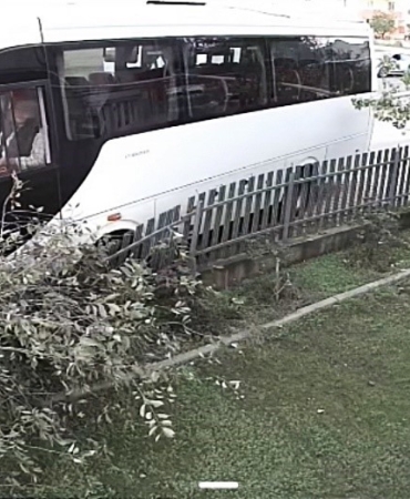 Tekirdağ’da servis minibüsü ağaca çarptı: 1 yaralı