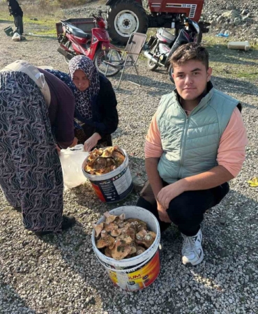 Okul harçlığını "kanlıca"dan çıkarıyor