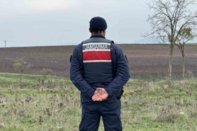 Mantar toplarken top mermisi buldular