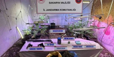 İklimlendirme sistemi ile kapalı ortamda kenevir yetiştiren şahıs tutuklandı