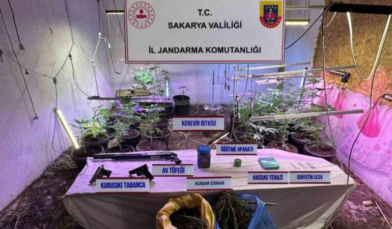 İklimlendirme sistemi ile kapalı ortamda kenevir yetiştiren şahıs tutuklandı