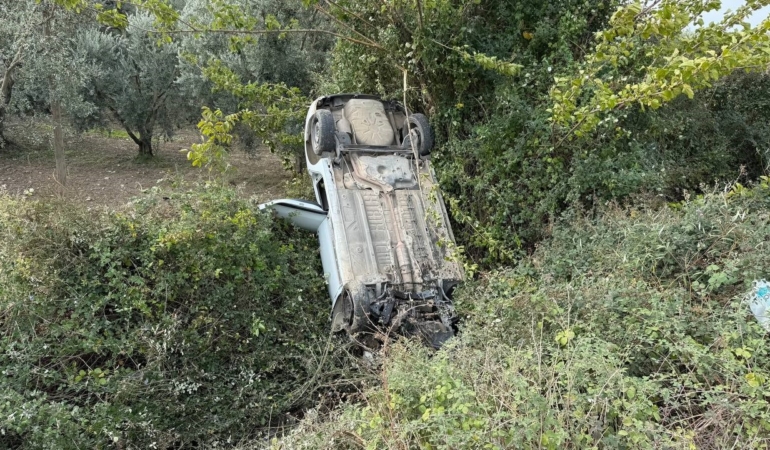 Sollama yaparken zeytinliğe uçtu
