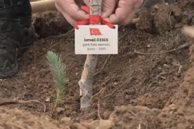 Bursa’da şehitler anısına fidan dikildi