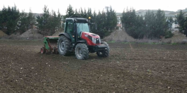 Büyükçekmece’de atıl araziler buğdayla buluştu