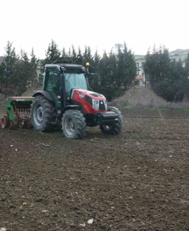 Büyükçekmece’de atıl araziler buğdayla buluştu