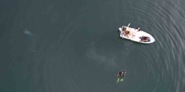 Sapanca Gölü’ndeki endişelendiren kabarcıklar su altından ve havadan görüntülendi