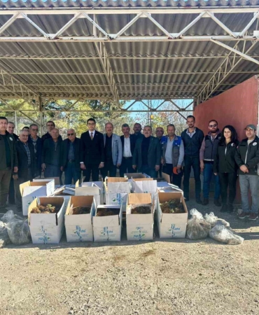 Bilecik’te 42 bin adet çilek fidesi dağıtıldı