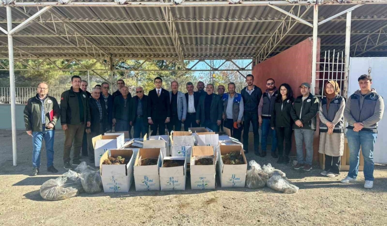 Bilecik’te 42 bin adet çilek fidesi dağıtıldı