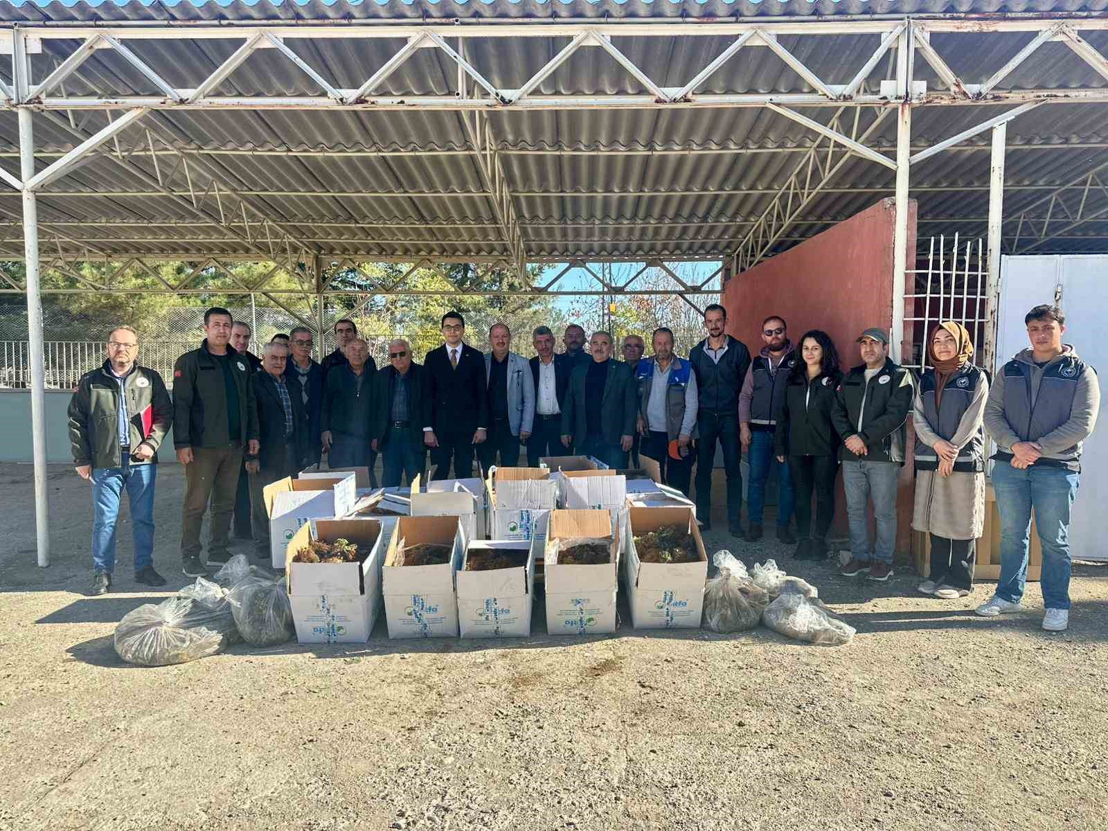 Bilecik’te 42 bin adet çilek fidesi dağıtıldı