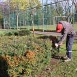 Kış turizminin gözdesi Kartepe’de park ve bahçeler güzelleşiyor