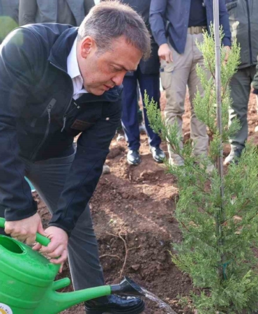 Orman yangınlarından etkilenen bölgede 5 bin fidanı toprakla buluşturuldu