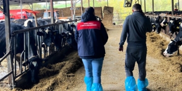 Pınarhisar’da ari hayvan işletmelerindeki çalışmalar incelendi