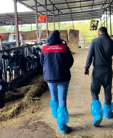 Pınarhisar’da ari hayvan işletmelerindeki çalışmalar incelendi