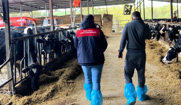 Pınarhisar’da ari hayvan işletmelerindeki çalışmalar incelendi