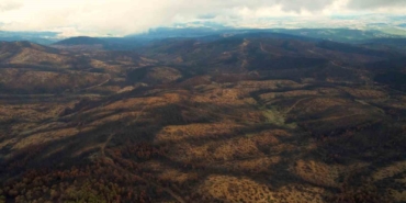 953 hektar kül oldu, Bursa’yı yeniden yeşertecek 300 bin fidan için ilk adım atıldı
