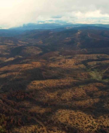 953 hektar kül oldu, Bursa’yı yeniden yeşertecek 300 bin fidan için ilk adım atıldı