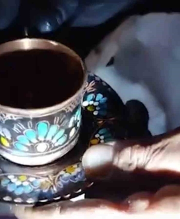 Çöp çöp dolaşıyorlar, buldukları ise servet değerinde