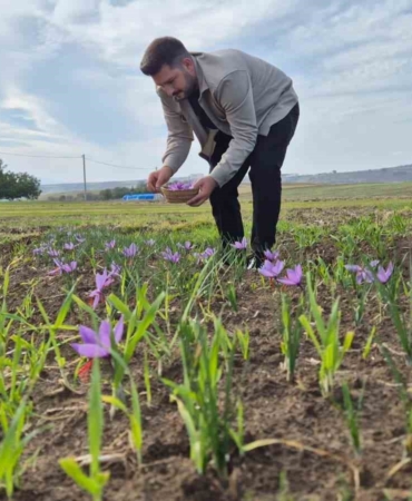 Bu baharatın kilosu 600 bin TL: Topraktan servet fışkırıyor