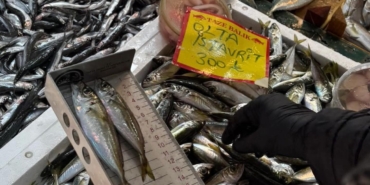 Tekirdağ’da balık tezgahlarına sıkı denetim: Boy ölçümleriyle sürdürülebilir avcılığa destek