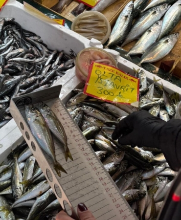 Tekirdağ’da balık tezgahlarına sıkı denetim: Boy ölçümleriyle sürdürülebilir avcılığa destek