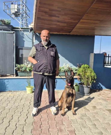 Köpek eğitmeni Eren Ay: "Köpekler kötü değildir, kötü eğitim vardır"