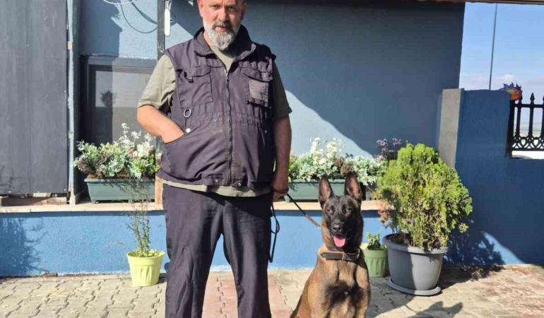 Köpek eğitmeni Eren Ay: "Köpekler kötü değildir, kötü eğitim vardır"