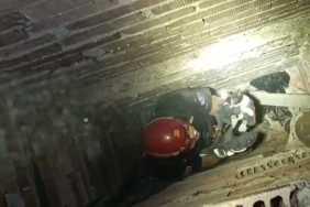 Apartman boşluğunda mahsur kalan yavru kediyi itfaiye kurtardı