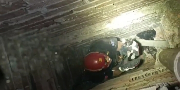 Apartman boşluğunda mahsur kalan yavru kediyi itfaiye kurtardı