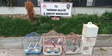 Tekirdağ’da yasa dışı hayvan üretimine ağır ceza