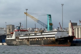 Bandırma’daki hayvan ithalatı tartışması yargıya taşındı