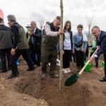 Karamürsel’de yanan bölge 3 bin fidanla yeniden yeşerecek