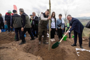 Karamürsel’de yanan bölge 3 bin fidanla yeniden yeşerecek