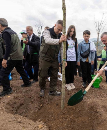 Karamürsel’de yanan bölge 3 bin fidanla yeniden yeşerecek