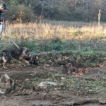 Mantar toplamak için gittiği ormanlık alanda kaybolan adamı 96 kişilik ekip arıyor