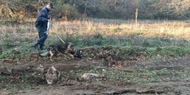 Mantar toplamak için gittiği ormanlık alanda kaybolan adamı 96 kişilik ekip arıyor