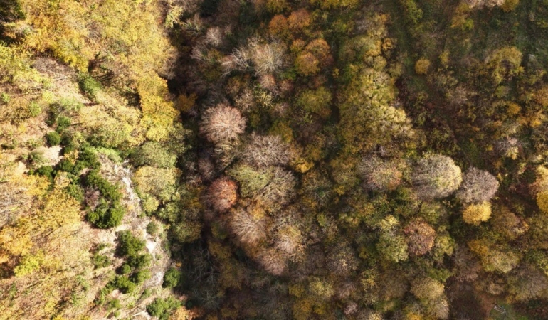 İstanbul’un yanı başında sonbahar rotası