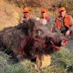 Tekirdağ’da avcılar bile şaşırdı: 300 kiloluk yaban domuzu avlandı