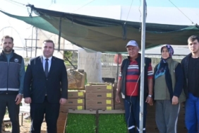 Kaymakam Ünal’dan çiftçilere sertifikalı tohum desteği