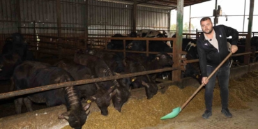 Kocaeli’de manda sayısı artıyor