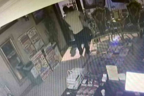 Böcek ailesinin kapının kilitli olmasından dolayı otelden çıkamadığı anlar kameraya yansıdı