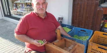 Balıkesir’de kırma zeytinlerin hazırlanmasına başlandı