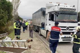 Seyir halindeki tırın açılan dorsesi PTS’ye çarptı