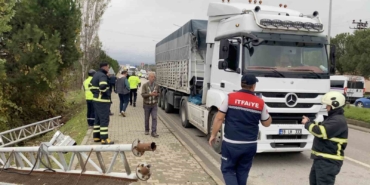 Seyir halindeki tırın açılan dorsesi PTS’ye çarptı