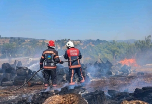 Sakarya’nın kahraman itfaiyecileri 10 ayda 11 bin 595 olaya müdahale etti