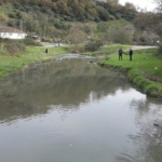 Eyüpsultan’daki gölde balık ölümleri yaşandı